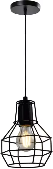 QUVIO Hanglamp industrieel Draadlamp bol D 15 cm Zwart