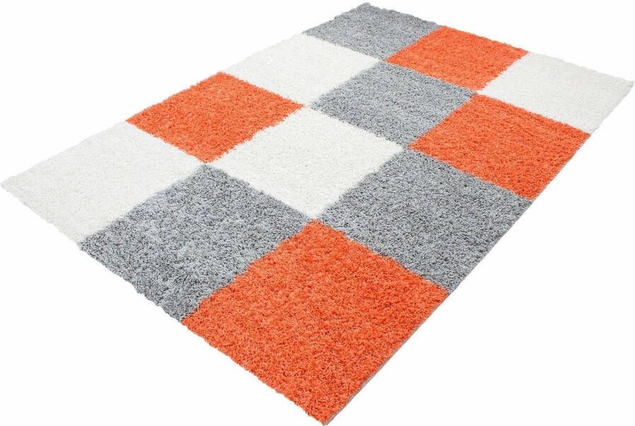 Adana Carpets Vloerkleed Life Shaggy Paars (1 60x2 30)Cm