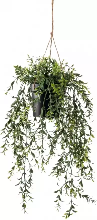 Leen Bakker Boxwood kunst hangplant groen 50 cm - Foto 1