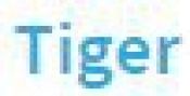 Tiger logo