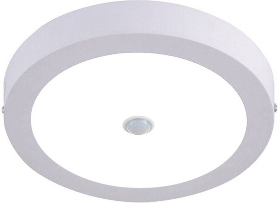 BES LED Downlight Facto Dury PIR Bewegingssensor 360° + Dag en Nacht Sensor 22W Helder Koud Wit 5700K Opbouw