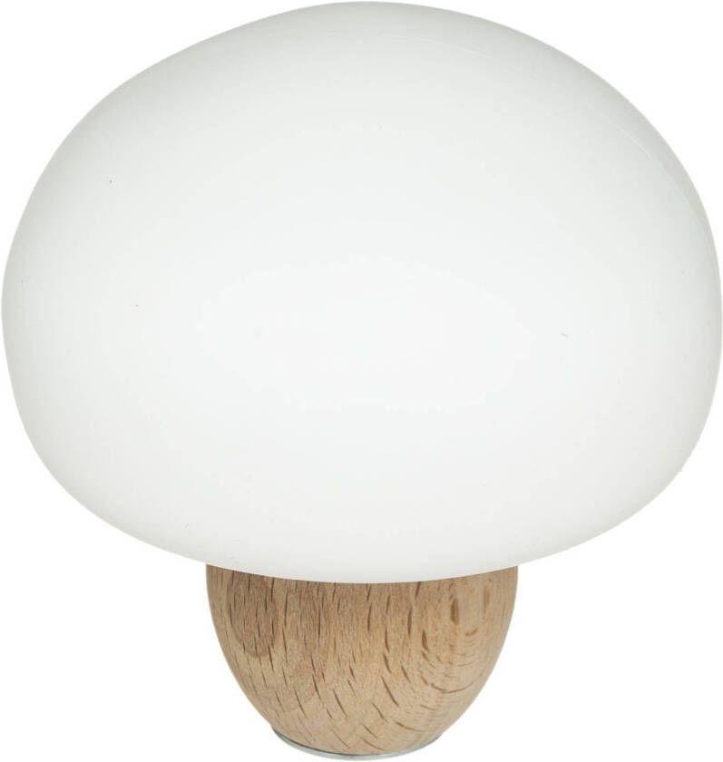 CASA DI ELTURO Nachtlampje Mini Paddenstoel Usb Oplaadbaar Dimbaar H12cm