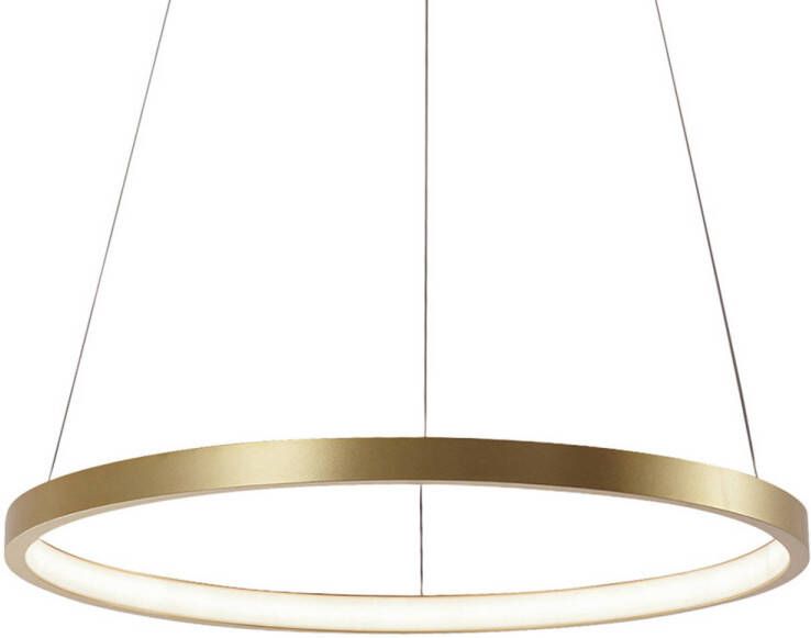 Dimehouse Ring hanglamp Elaine metaal goud 1 cirkel - Foto 1