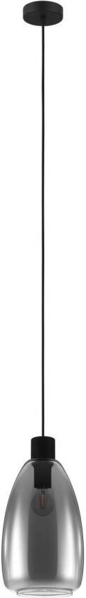 EGLO Chelvey Hanglamp E27 Ø 20 cm Rookglas