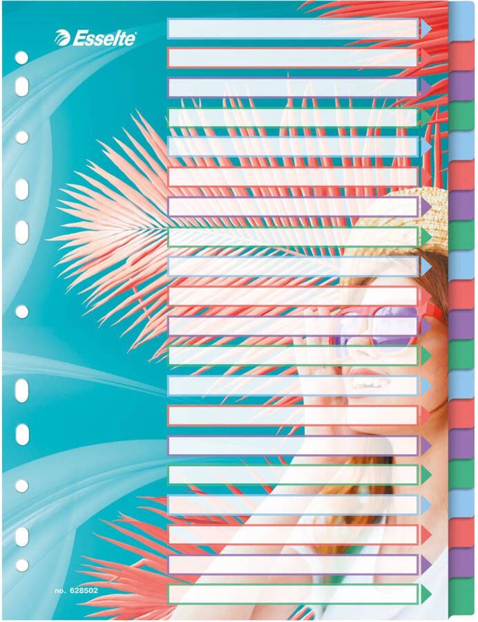 Esselte Colour&apos;Breeze tabbladen ft A4 11-gaatsperforatie PP set van 20 tabs 6 stuks