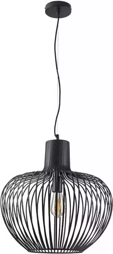 Freelight Hanglamp Arraffone Ø 45 cm zwart