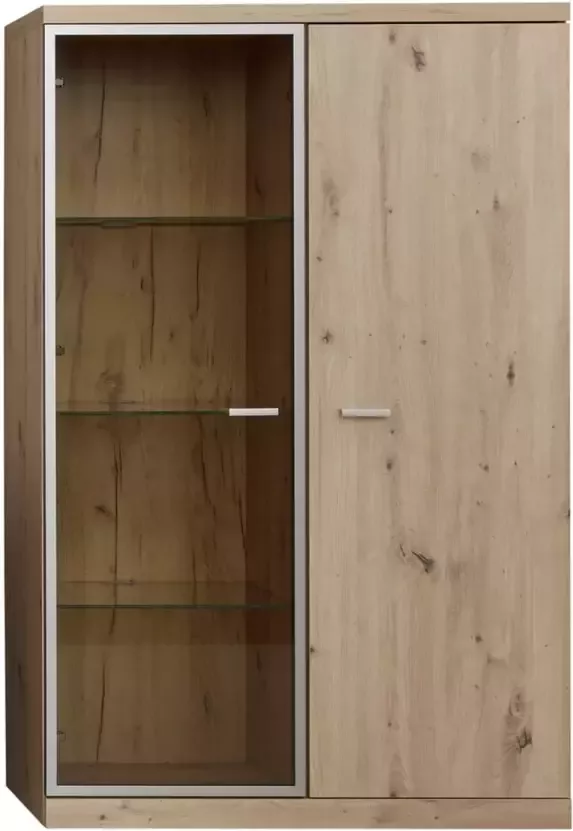 Trendteam smart living Echo vitrinekast 2 deuren eiken decor bruin pasolglas met mat nikkel aluminium frame