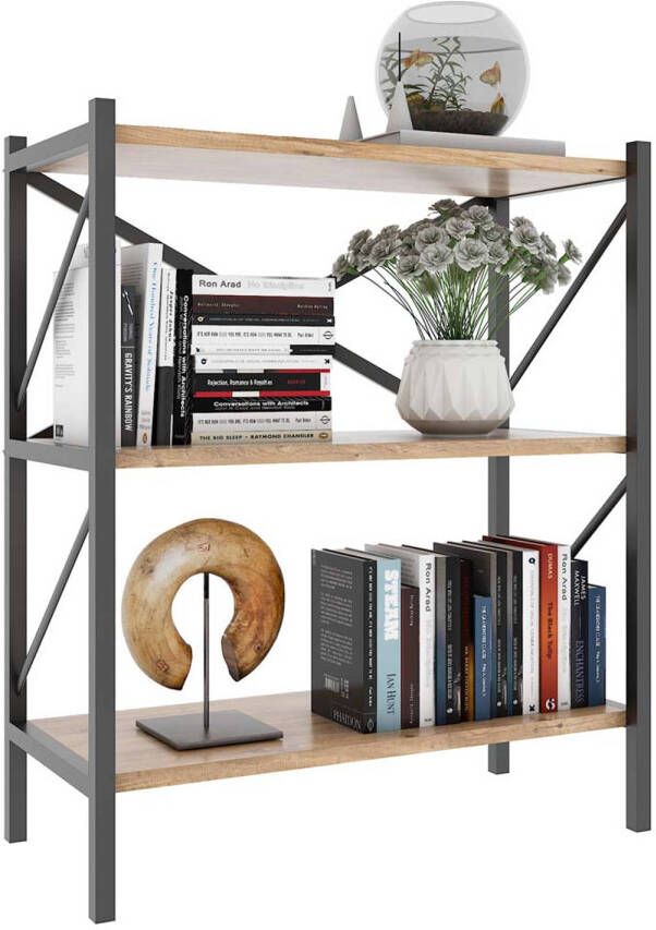 Hioshop Insasi2 wandkast 2 planken eik decor.