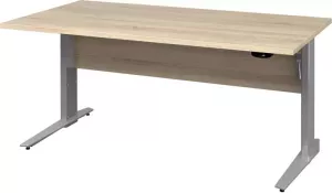 Hioshop Prisme Bureau B Elektrisch In Hoogte Verstelbaar Eiken Decor En Zilvergrijs Staal.
