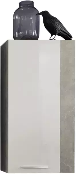 Hioshop Rominia wandkast voor wandmontage met 1 deur beton decor wit hoogglans.