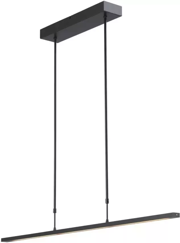 Lamponline Masterlight Hanglamp Real 2 LED 100 cm zwart nikkel