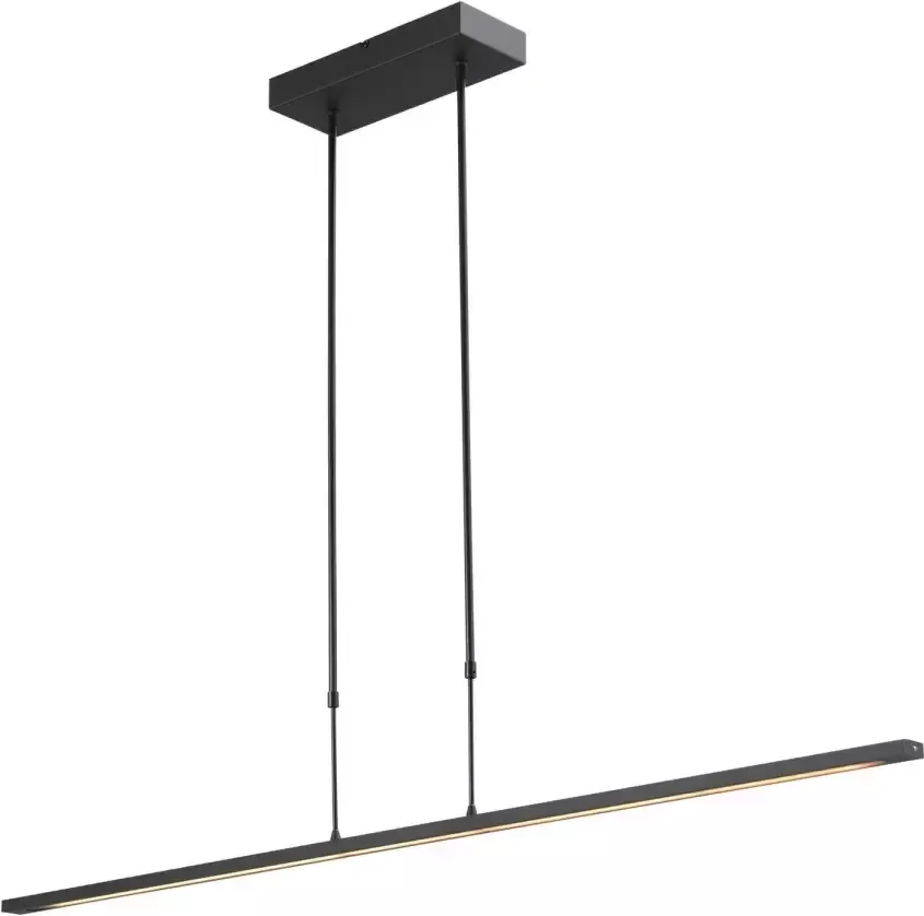 Lamponline Masterlight Hanglamp Real 2 LED 130 cm zwart nikkel