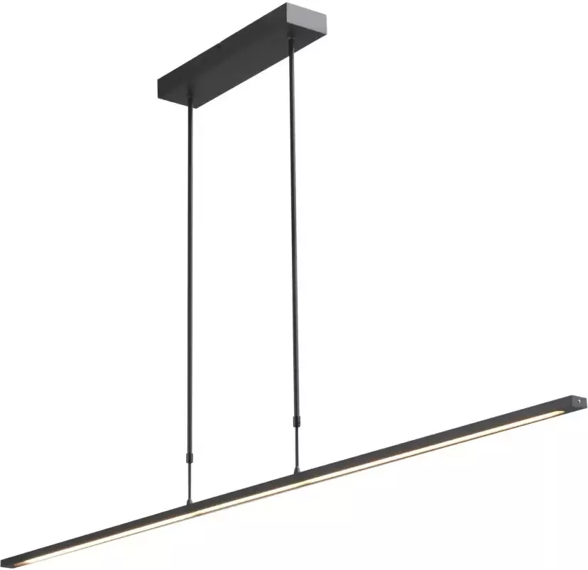 Lamponline Masterlight Hanglamp Real 2 LED 160 cm zwart nikkel