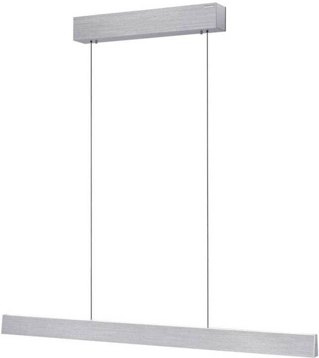 Lamponline Paul Neuhaus Hanglamp e-Lift L 120 cm mat chroom