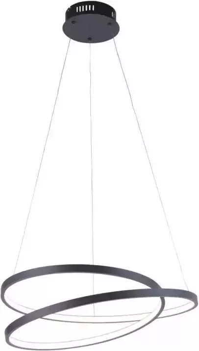Lamponline Paul Neuhaus Hanglamp Rowan Ø 55 cm zwart