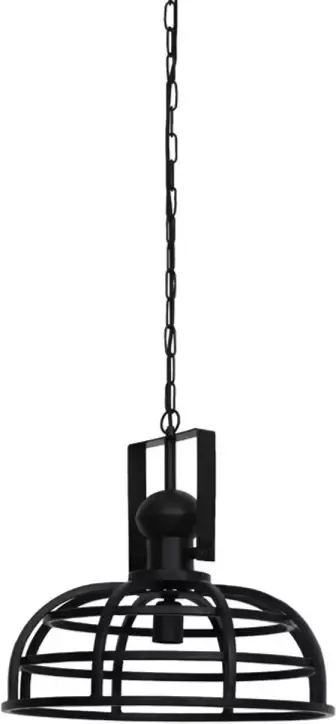 Light & Living Hanglamp Avalon 45cm mat zwart