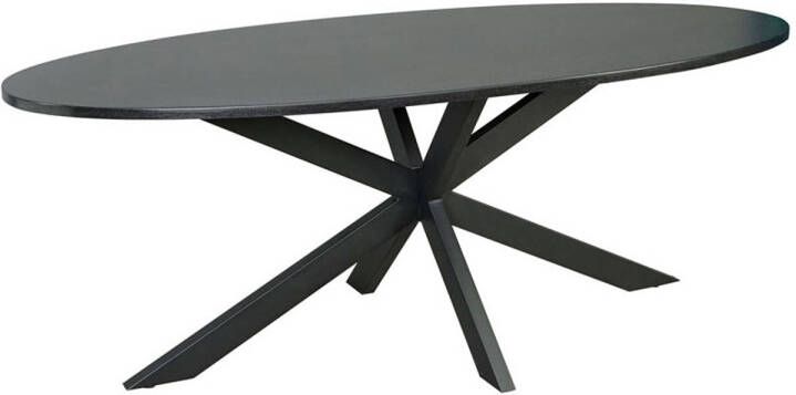 Lizzely Garden & Living Eettafel ovaal 210cm Rato zwart ovale eettafel