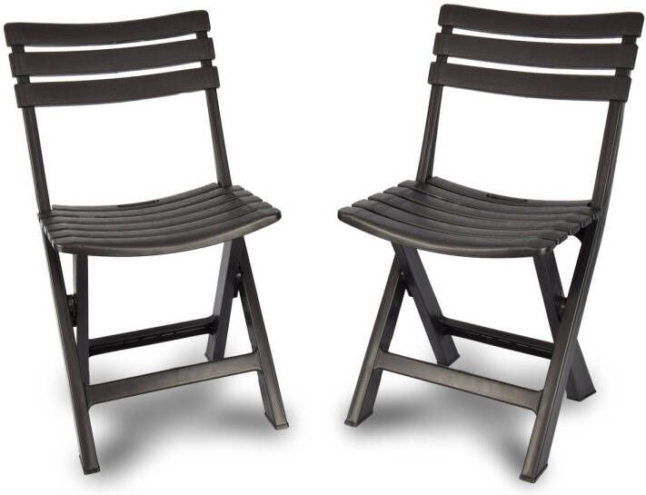 Merkloos 2x Klapstoel Opvouwbare stoel Campingstoel Tuinstoel Zwart Kunststof Duurzaam Comfortabel Voor binnen