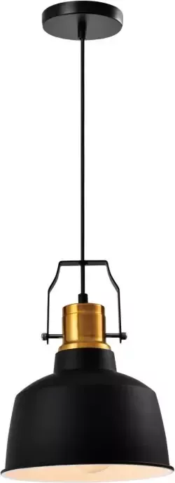 QUVIO Hanglamp industrieel Klein model D 22 cm Zwart