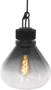 Steinhauer Hanglamp flere 2669zw zwart