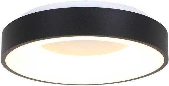 Steinhauer Plafondlamp Ringlede Ø 38 cm 2562 zwart