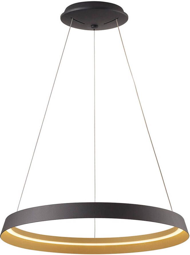 Steinhauer hanglamp Ringlux zwart metaal 60 cm ingebouwde LED-module 3692ZW