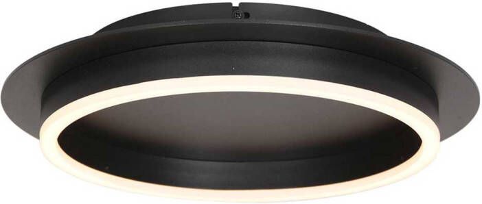 Steinhauer plafonniere Ringlux zwart metaal 32 cm ingebouwde LED-module 3655ZW