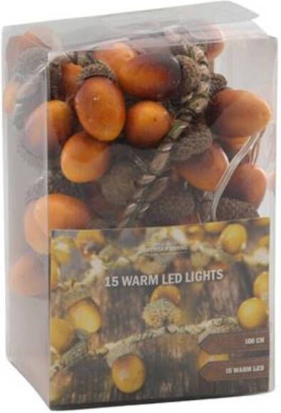 Svenska Living Strengverlichting eikels 15LED warm-wit