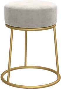 VidaXL -Hocker-rond-fluweel-lichtgrijs