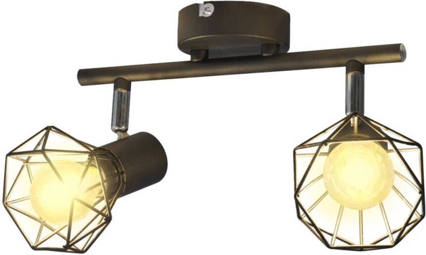 VidaXL Plafondlamp met 2 LED&apos;s industriële stijl zwart - Foto 1