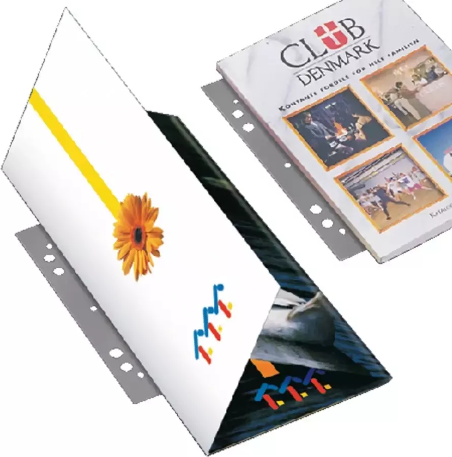 3L Consumer Products OPBERGSTRIP Filestrip 3l 8804-100 295 mm 2 4rings 100stuks