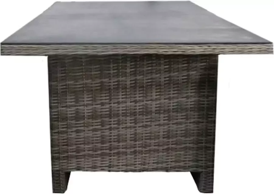 4 Seizoenen Tuinmeubelen Tuintafel Dublin 230x100cm Ash Grey Keramiek & Wicker