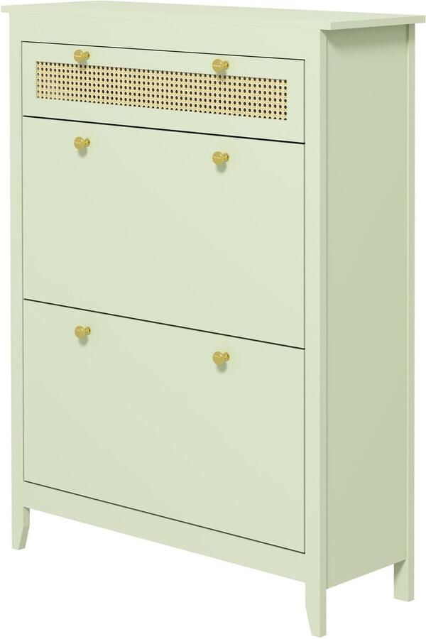 4Goodz Schoenenkast voor 12 Paar Schoenen met 1 Uitschuifbare Lade 2 Klepladen 30x88x120 cm Groen