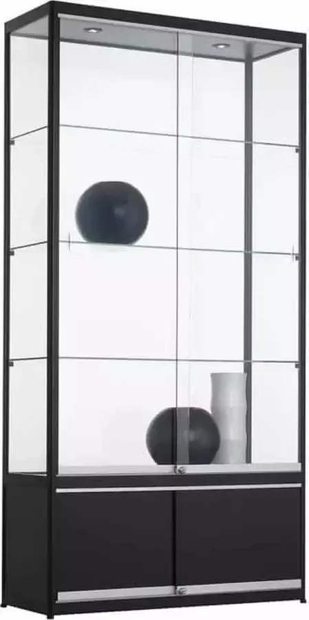 ABC Kantoormeubelen Vitrinekast met onderkast 3 legborden 200x100x40cm Aluminium