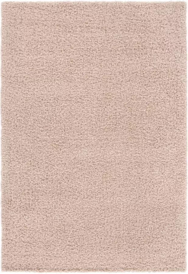 ACAZA Tapijt 160 x 230 cm Bruin