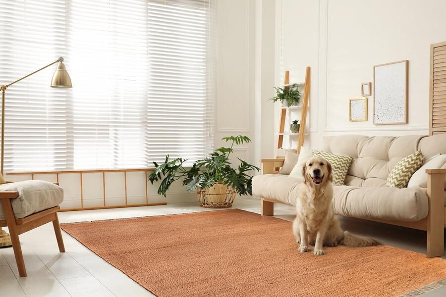 Acsento VigoTerracotta Vloerkleed 160 x 230 cm Oranje Rectangular Jute Woonkamer Slaapkamer Eetkamer Effen Modern Landelijk