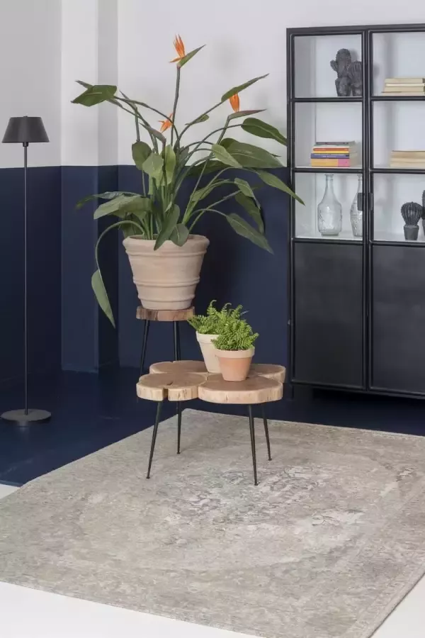 Acsento Meda Vloerkleed 200 x 300 cm Taupe Rectangular Acrylic Dining room Living room Medallion Vintage Classic