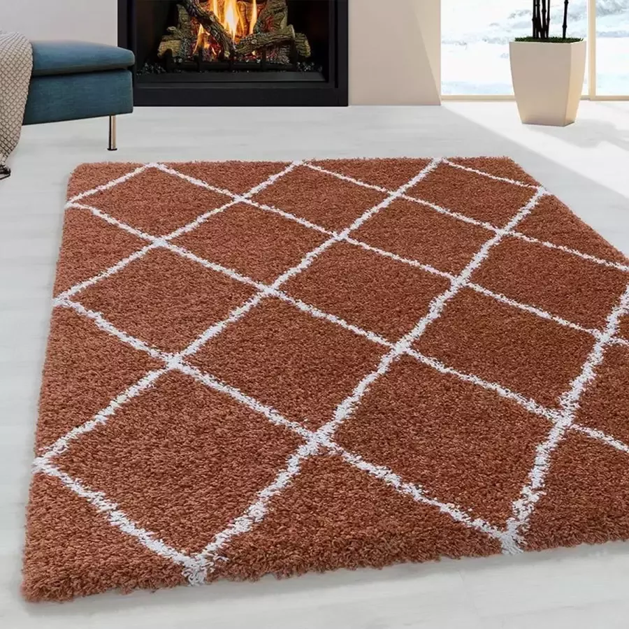 Adana Carpets Berber vloerkleed Agadir Lines Terra Creme 280x370cm