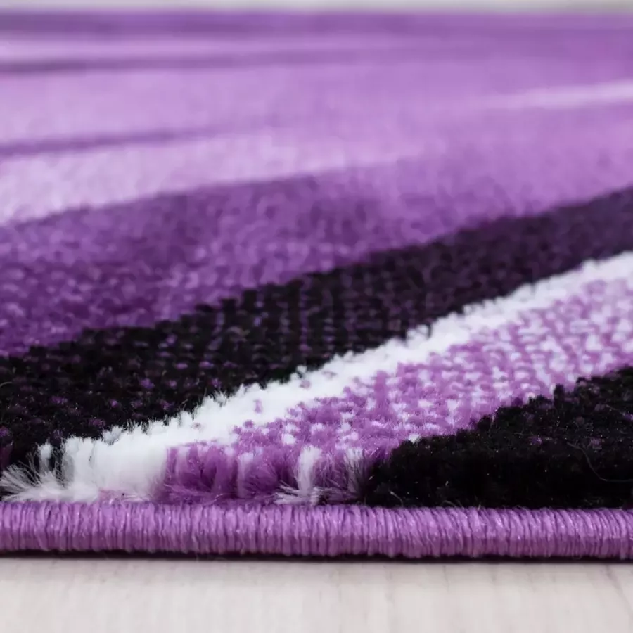 Adana Carpets Modern vloerkleed Jena Paars 9210 120x170cm (9210)