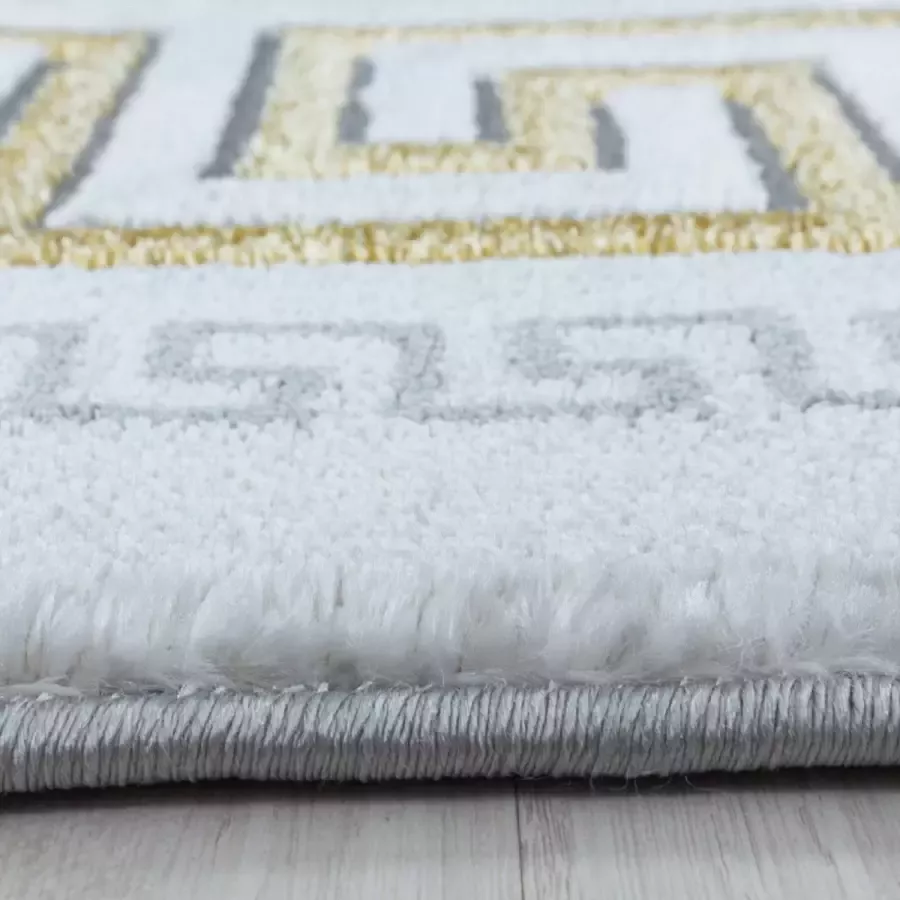 Adana Carpets Modern vloerkleed Marble Edge Grijs Goud 160x230cm (3818)