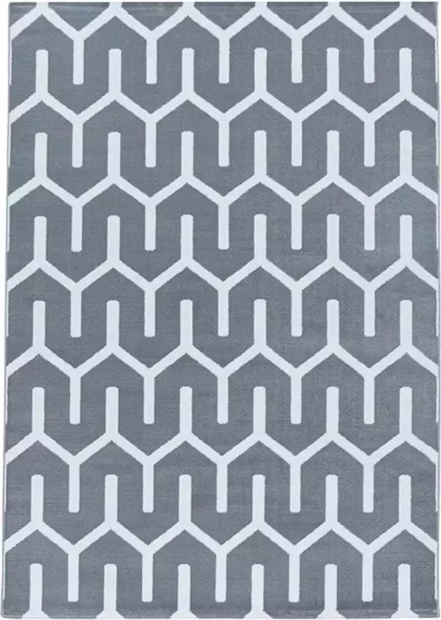 Adana Carpets Modern vloerkleed Streaky Pattern Grijs Wit 120x170cm