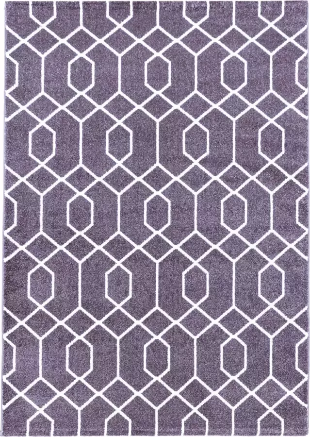 Adana Carpets Retro vloerkleed Stencil Paars Wit 120x170cm - Foto 6