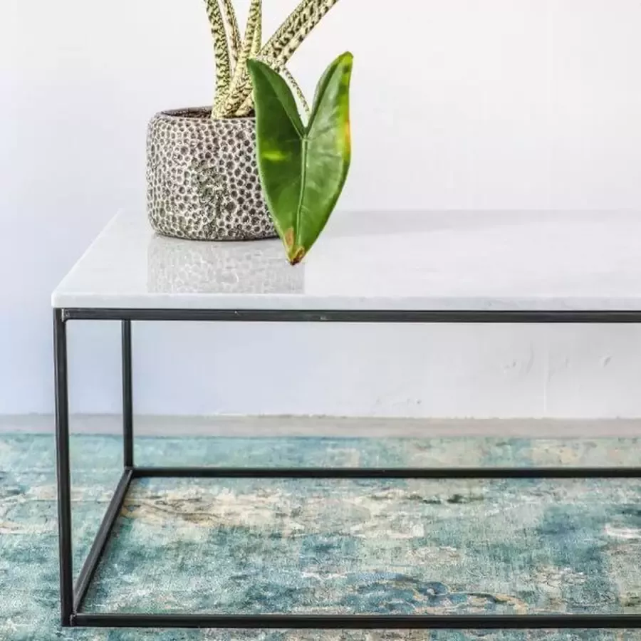 Aime Té Marmeren Salontafel Rechthoek Carrara Wit 120 x 70 cm Gezoet