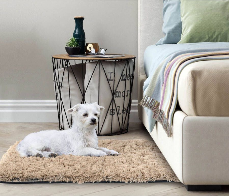 Aio Pluche tapijt korte pool antislip 80 x 160 cm Beige DYWSHA80 160BEZ