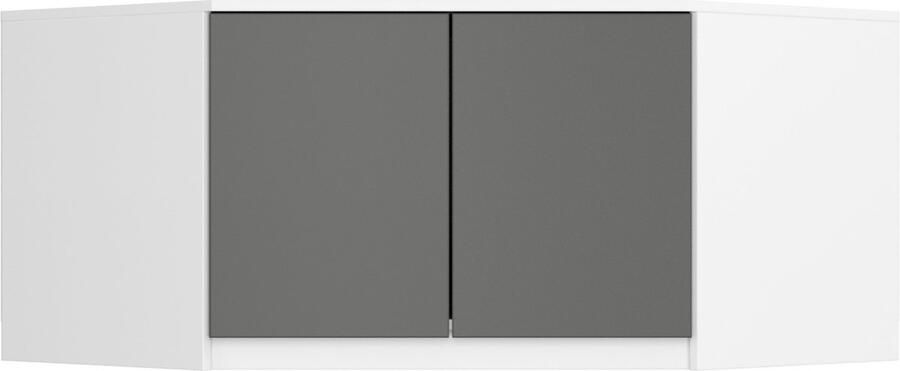 Akord Kastopzetstuk in Wit Grijs S100 Bovenkast voor Opbergruimte 2 Deuren 3 Planken Zelfmontage 100x50x55 cm Mat Laminaat Afwerking