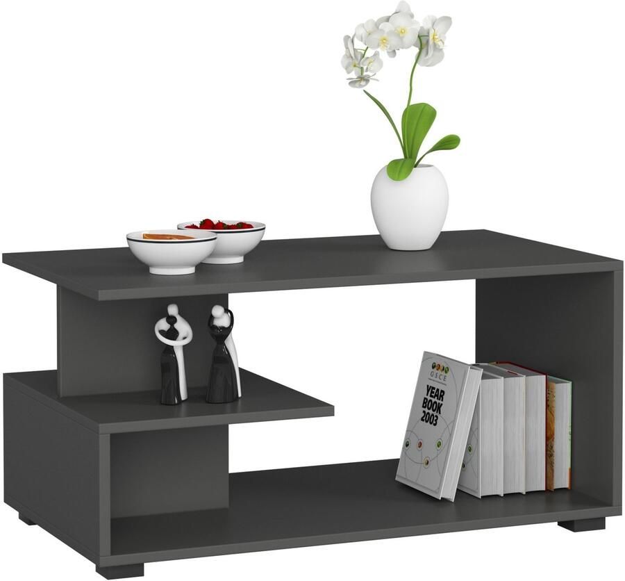 Akord Grafiet Grijze Koffietafel PIN Moderne Lage Tafel 90x45 cm Mat Afwerking Zelfmontage
