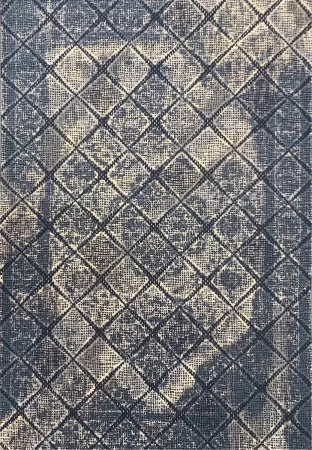 Aledin Carpets Batoemi Vloerkleed 160x230 CM Laagpolig Tuintapijt Voor Binnen en Buiten Blauw Woonkamer Tapijt