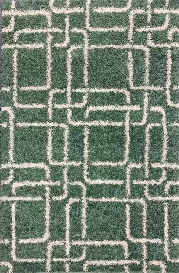 Aledin Carpets Caracas Hoogpolig Vloerkleed 160x230 cm Shaggy Wit Groen
