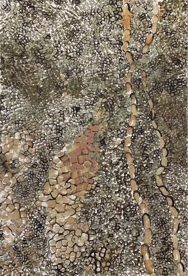 Aledin Carpets Kampala Vloerkleed 160x230 CM Tuintapijt Laagpolig Buitenkleed Voor Binnen en Buiten Groen Woonkamer Tapijt - Foto 2