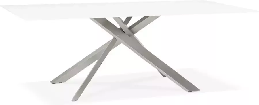 Alterego Design eettafel 'BIRDY' in wit glas met metalen centrale voet 200 x 100 cm